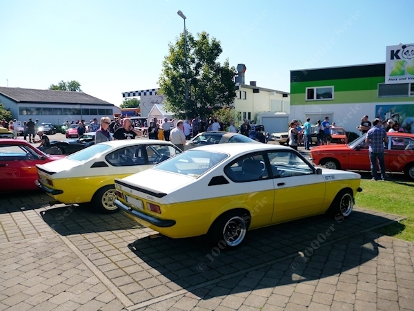 8456-2.jpg