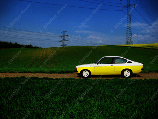3068-09.jpg