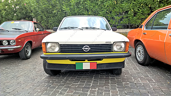 3818-18.jpg